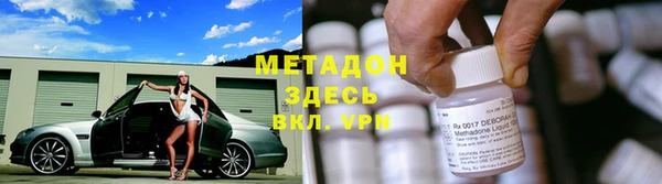 прущие грибы Арсеньев