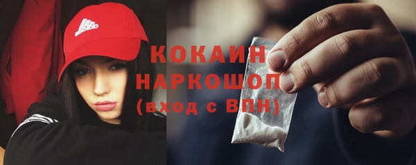 хмурый Алзамай