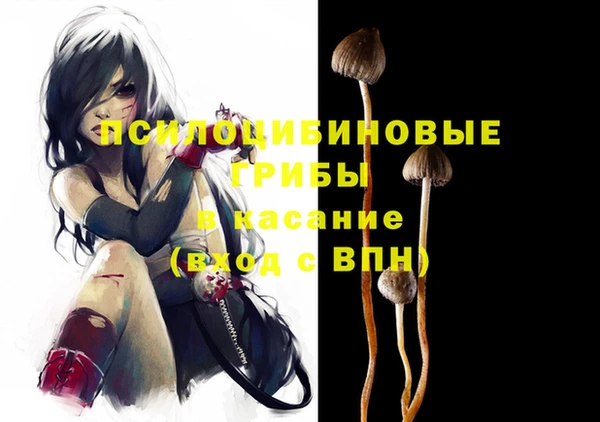хмурый Алзамай