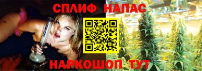 индика Ирбит