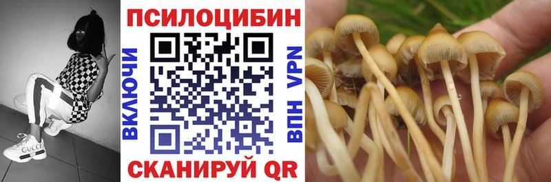Галлюциногенные грибы MAGIC MUSHROOMS  МЕГА tor  Майкоп  сколько стоит 