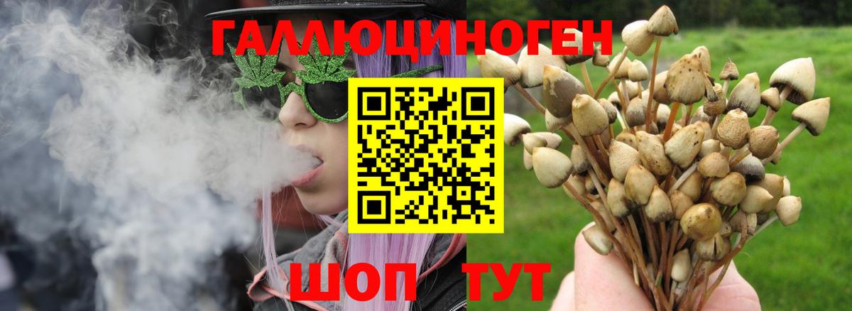 Майкоп  Галлюциногенные грибы Psilocybe  Вход с VPN  Галлюциногенные грибы Cubensis 