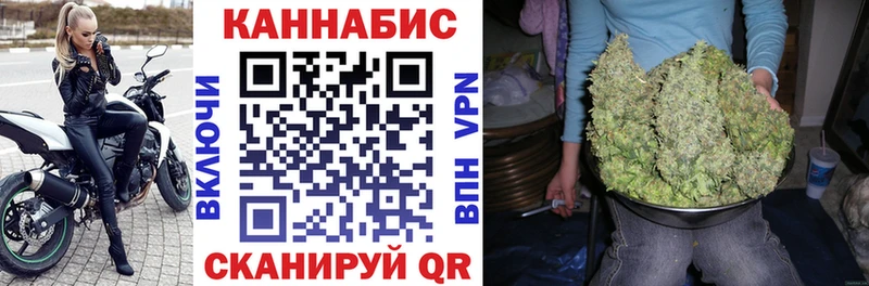 Бошки марихуана THC 21%  наркошоп  гидра как войти  Майкоп 